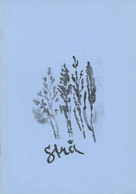 'Strå' book cover in Swedish